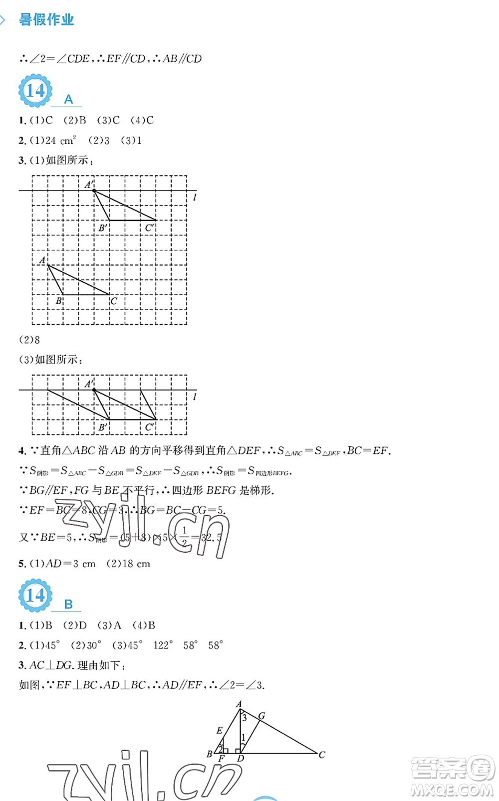 安徽教育出版社2022暑假作業(yè)七年級數(shù)學(xué)通用版S答案