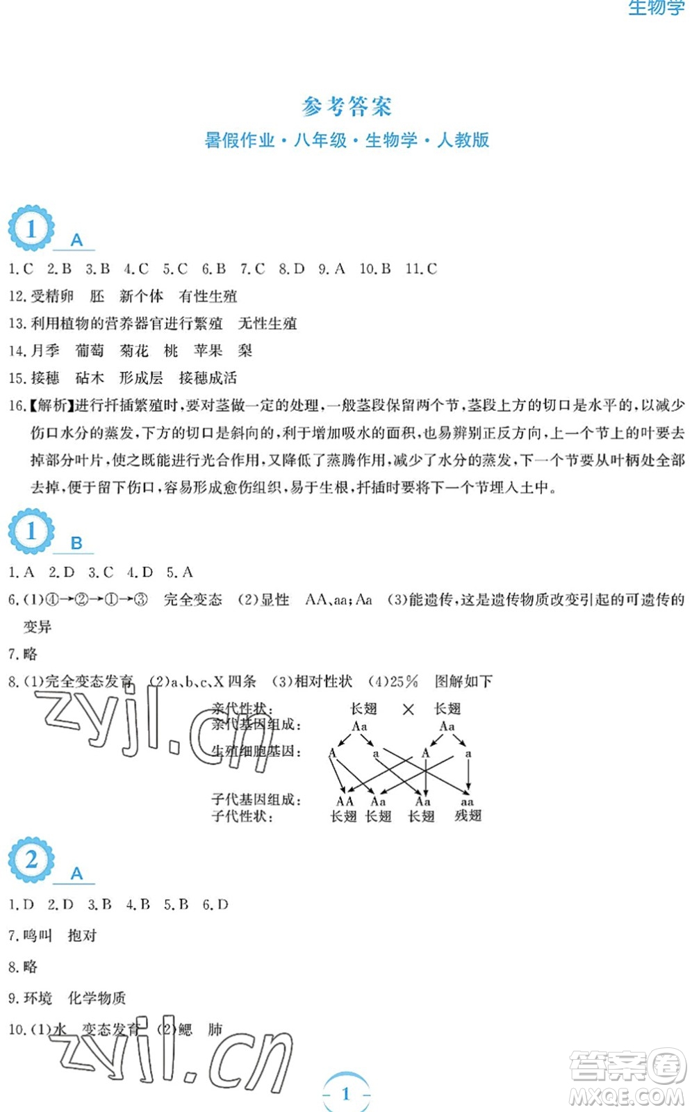 安徽教育出版社2022暑假作業(yè)八年級(jí)生物人教版答案