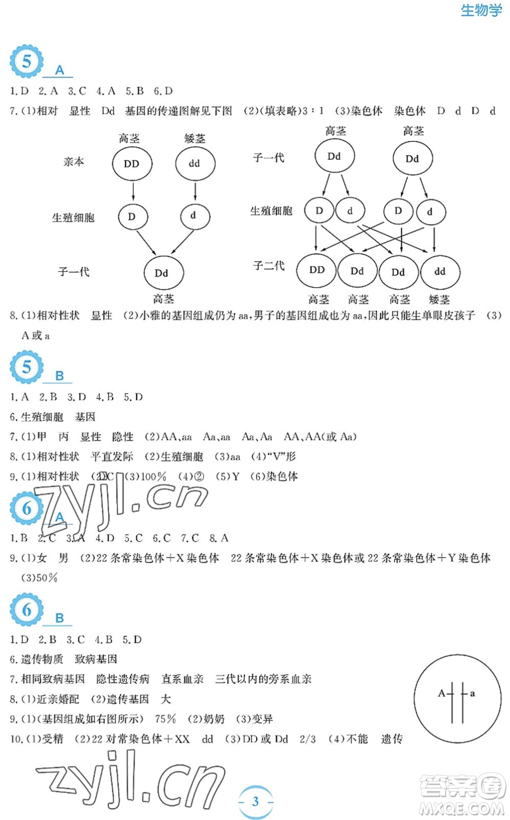 安徽教育出版社2022暑假作業(yè)八年級生物蘇教版答案