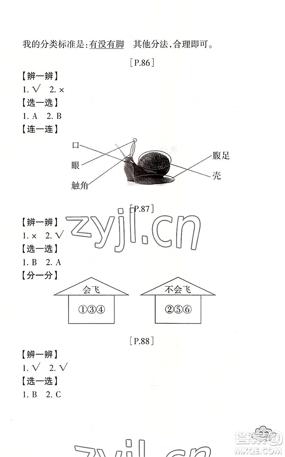 浙江少年兒童出版社2022暑假學(xué)與練一年級(jí)數(shù)學(xué)B北師版科學(xué)J教科版答案