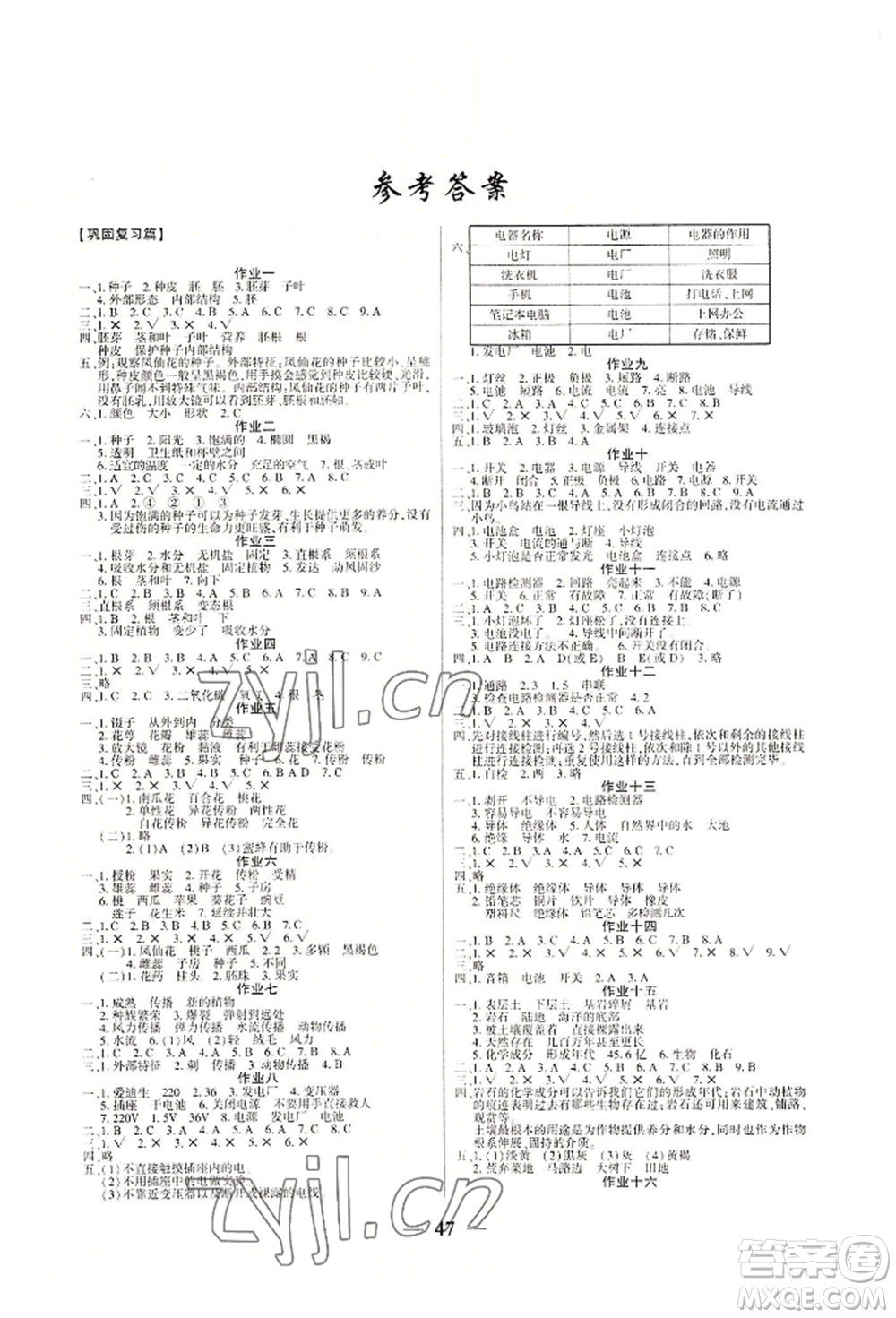 新疆文化出版社2022開心暑假作業(yè)假期計劃科學(xué)四年級教科版參考答案