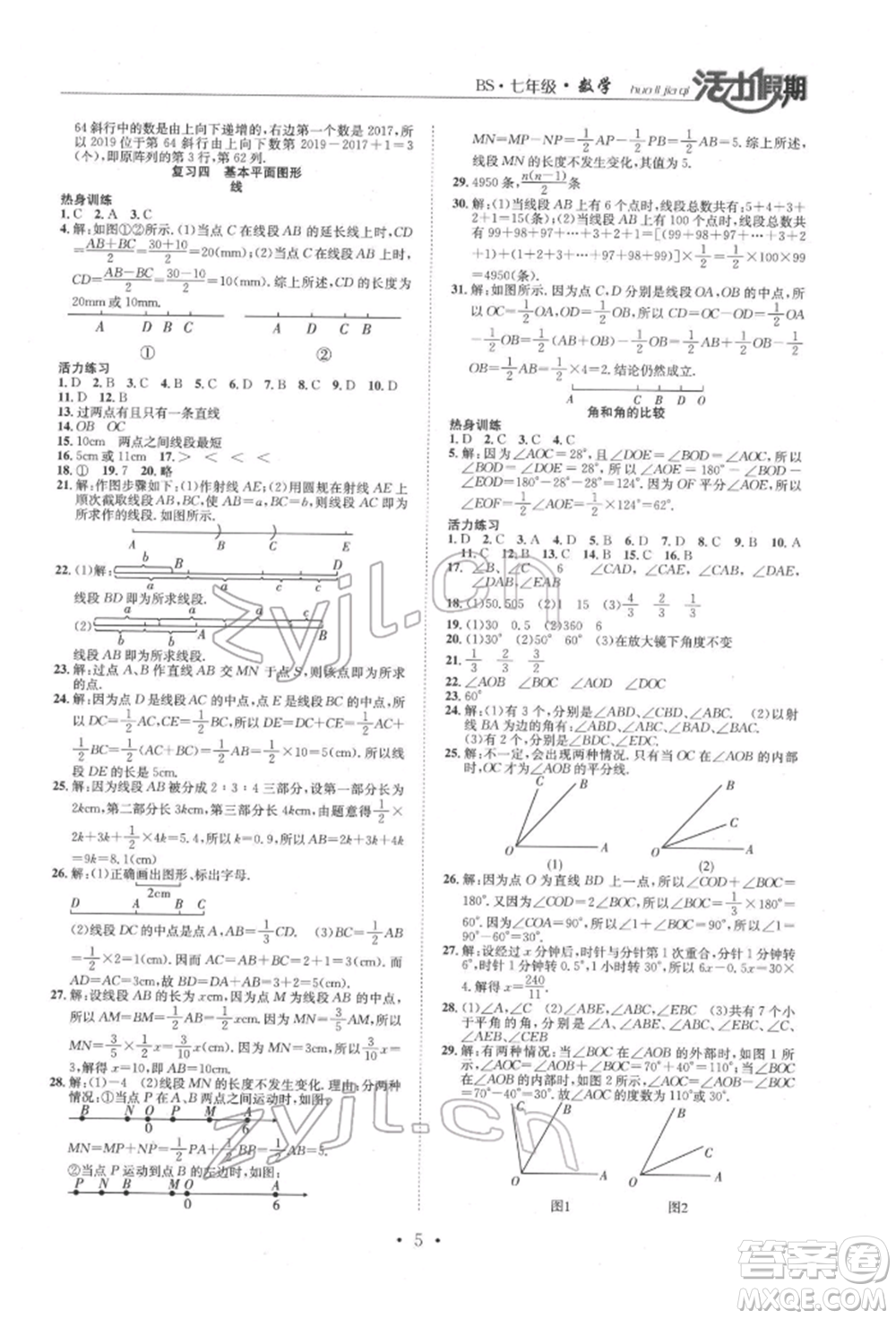 沈陽出版社2022活力假期學(xué)期總復(fù)習(xí)暑假七年級數(shù)學(xué)北師大版參考答案