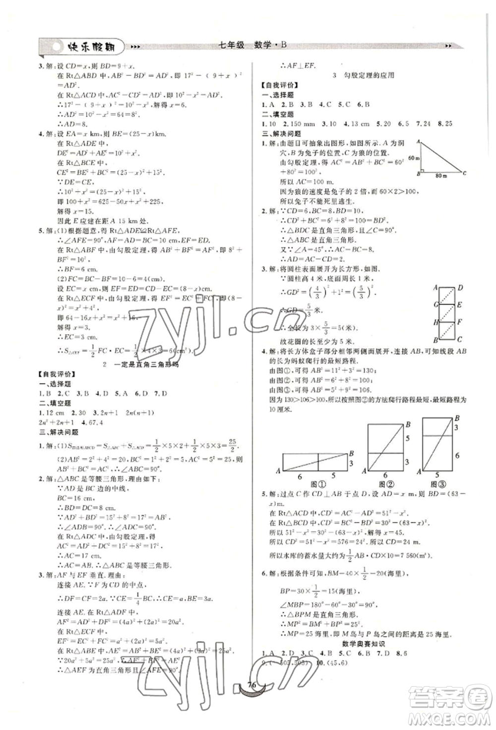 四川師范大學電子出版社2022快樂假期走進名校培優(yōu)訓練銜接教材暑假七升八數(shù)學北師大版參考答案