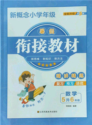 江蘇鳳凰美術(shù)出版社2022新概念小學(xué)年級暑假銜接教材五升六數(shù)學(xué)人教版參考答案