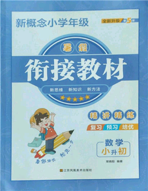 江蘇鳳凰美術(shù)出版社2022新概念小學(xué)年級暑假銜接教材小升初數(shù)學(xué)人教版參考答案