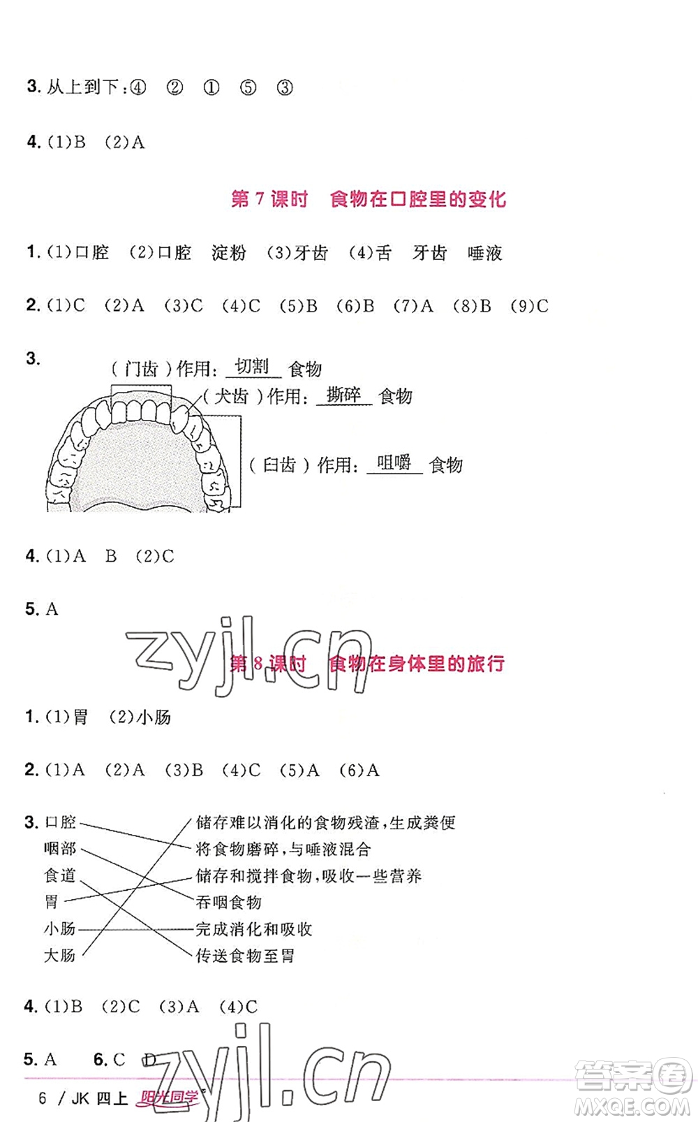 江西教育出版社2022陽光同學(xué)課時優(yōu)化作業(yè)四年級科學(xué)上冊JK教科版答案