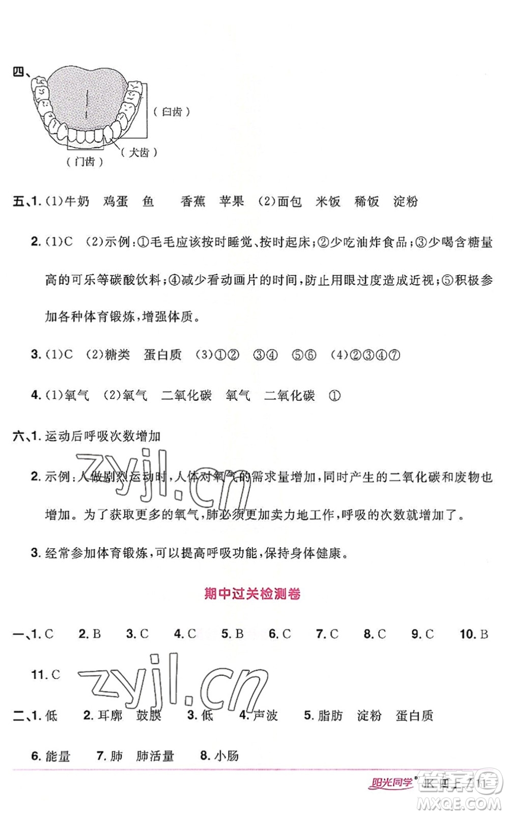 江西教育出版社2022陽光同學(xué)課時優(yōu)化作業(yè)四年級科學(xué)上冊JK教科版答案