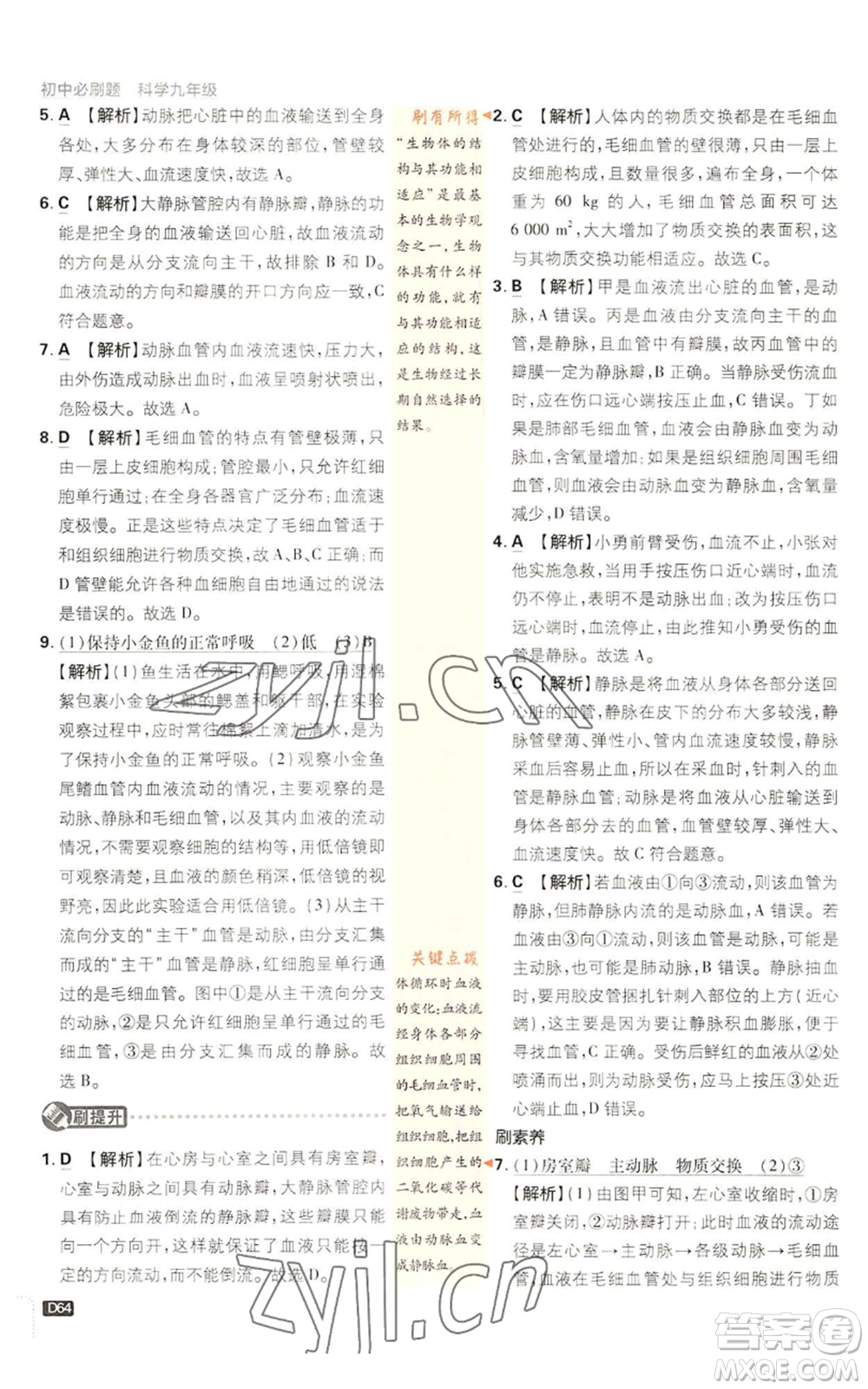 新世界出版社2023初中必刷題九年級上冊科學(xué)浙教版浙江專版參考答案