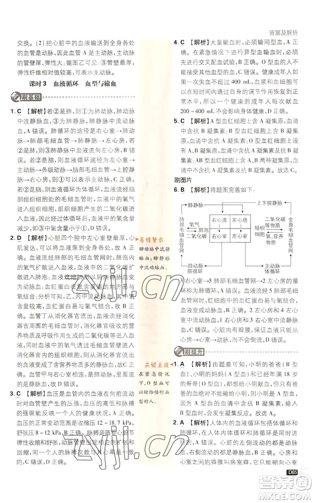 新世界出版社2023初中必刷題九年級上冊科學(xué)浙教版浙江專版參考答案