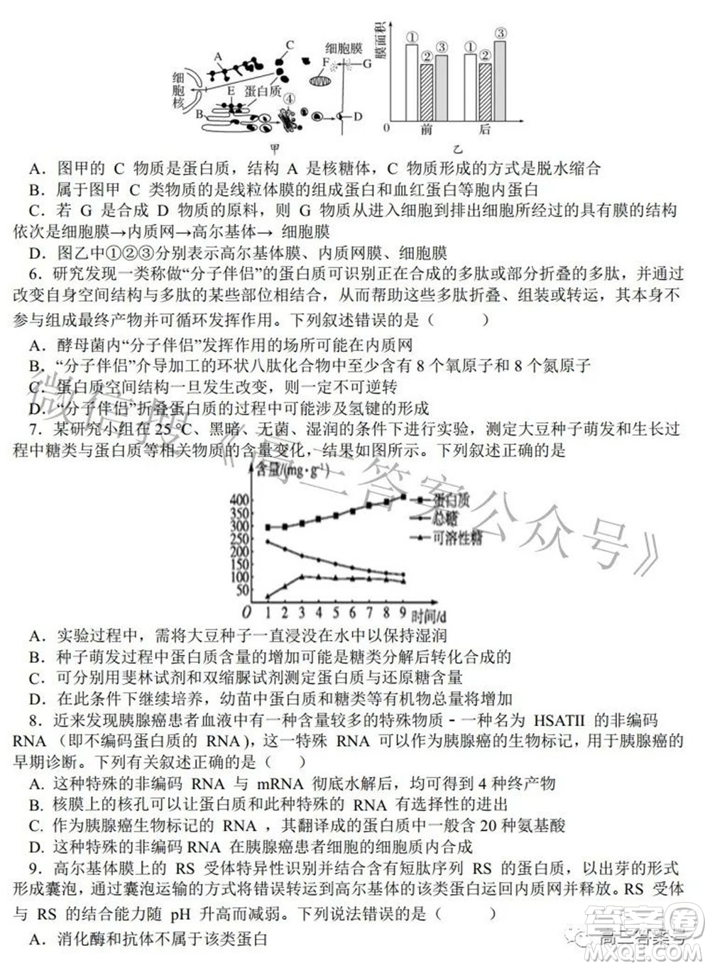 鄭州四中2022-2023學(xué)年高三上學(xué)期第一次調(diào)研考試化學(xué)試題及答案