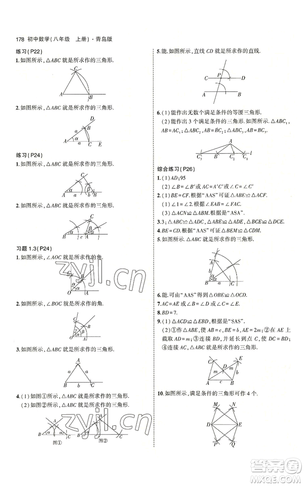 首都師范大學出版社2023年5年中考3年模擬八年級上冊數學青島版參考答案