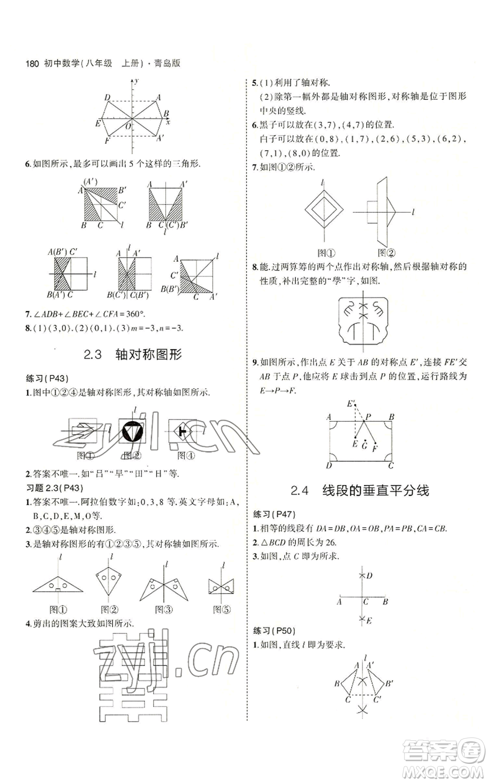 首都師范大學出版社2023年5年中考3年模擬八年級上冊數學青島版參考答案