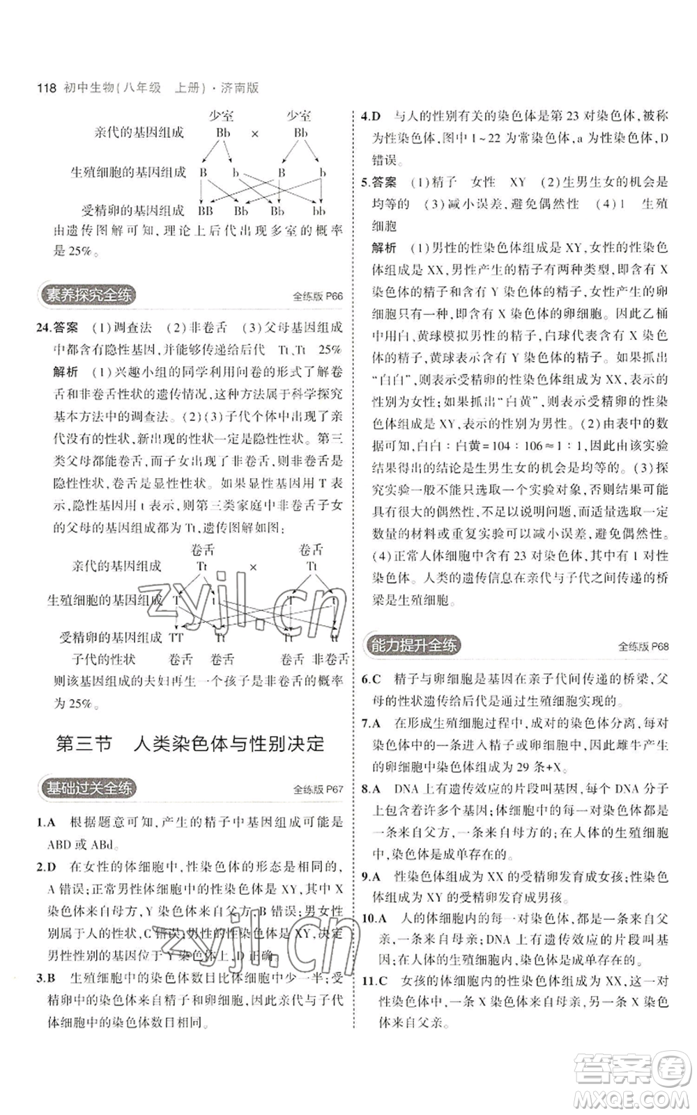 教育科學(xué)出版社2023年5年中考3年模擬八年級(jí)上冊(cè)生物濟(jì)南版參考答案