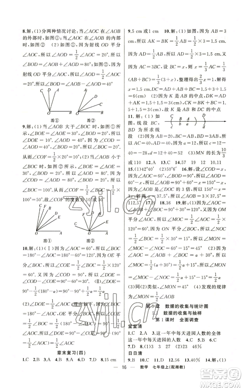 新疆青少年出版社2022四清導航七年級上冊數(shù)學湘教版參考答案