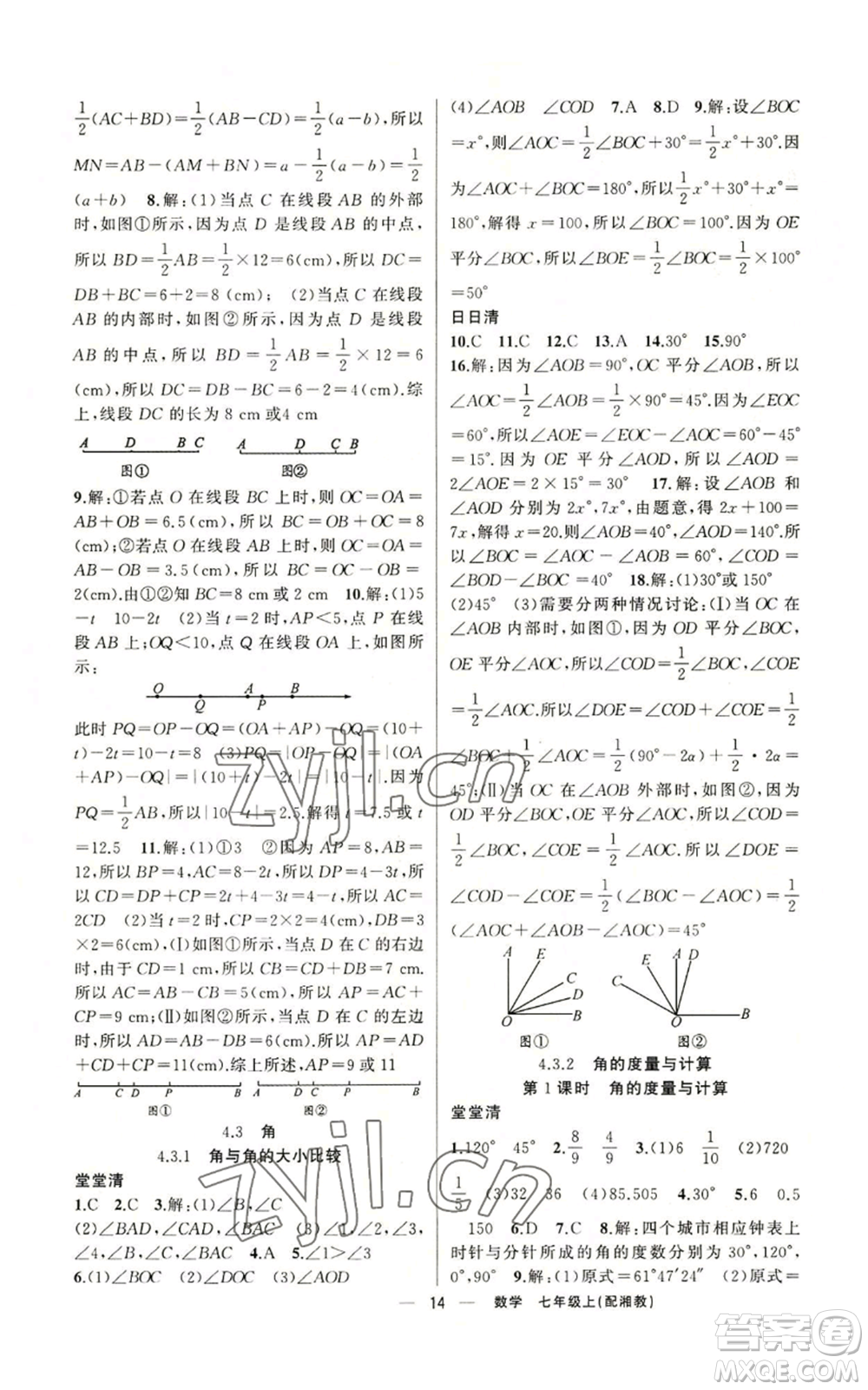 新疆青少年出版社2022四清導航七年級上冊數(shù)學湘教版參考答案