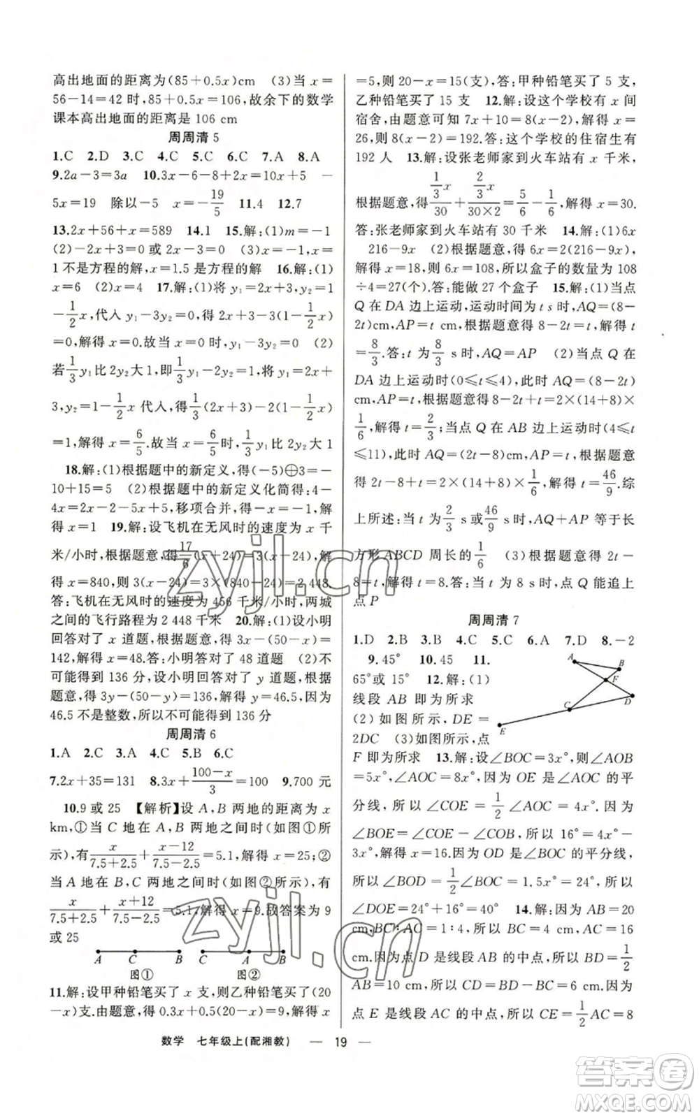 新疆青少年出版社2022四清導航七年級上冊數(shù)學湘教版參考答案