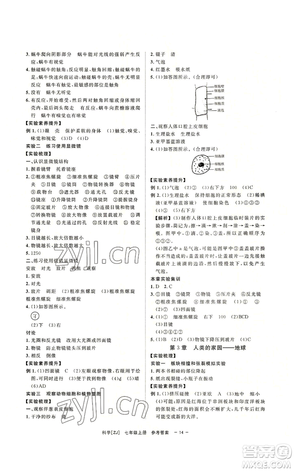 光明日報出版社2022全效學習七年級上冊科學浙教版A參考答案