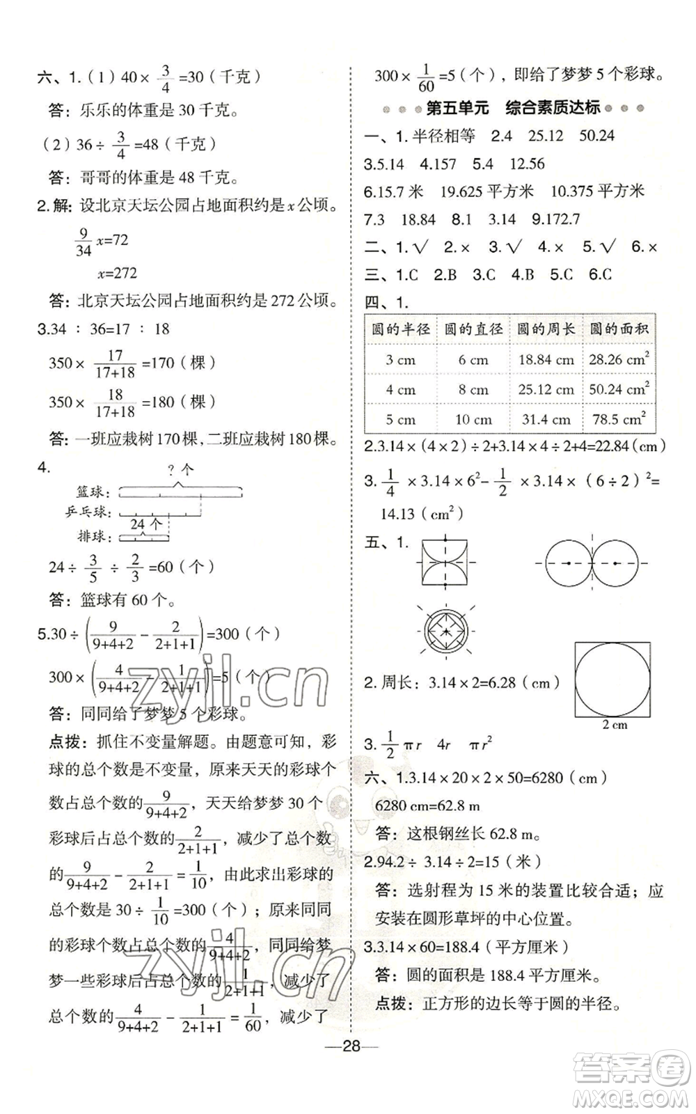 吉林教育出版社2022秋季綜合應(yīng)用創(chuàng)新題典中點(diǎn)六年級上冊數(shù)學(xué)青島版參考答案