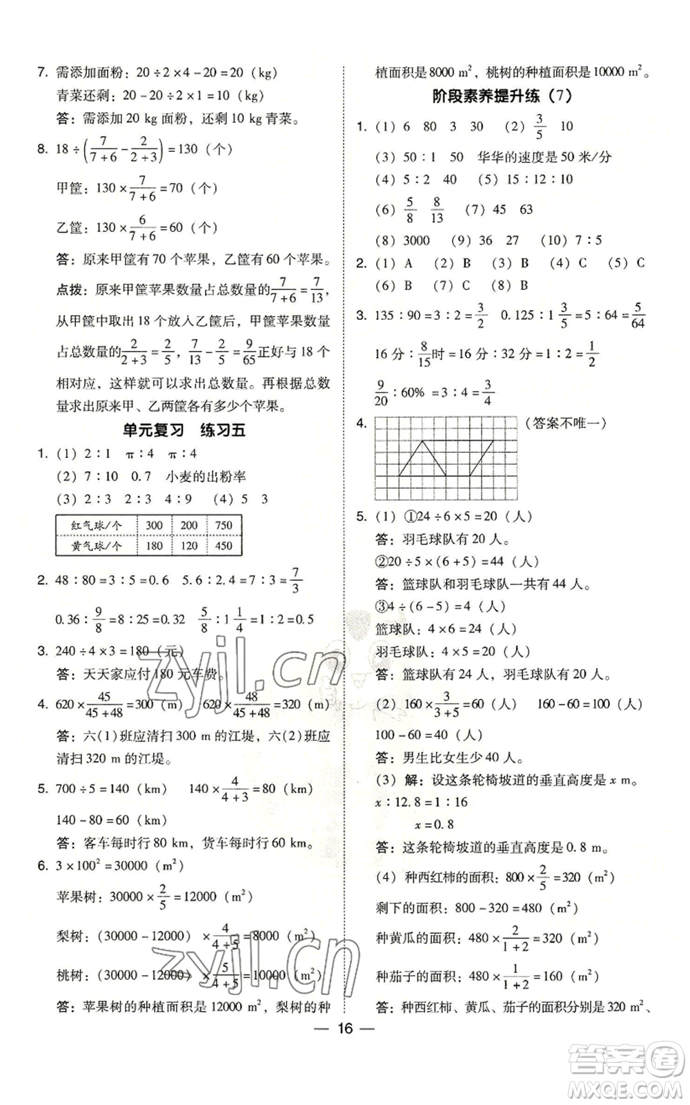 陜西人民教育出版社2022秋季綜合應(yīng)用創(chuàng)新題典中點(diǎn)六年級(jí)上冊(cè)數(shù)學(xué)北師大版參考答案