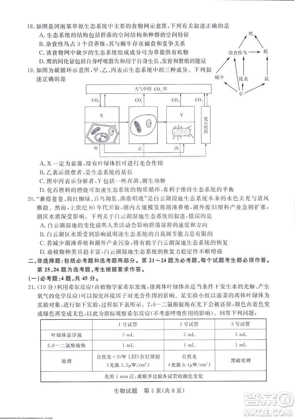 2023屆河南省高三新未來8月聯(lián)考生物試題及答案