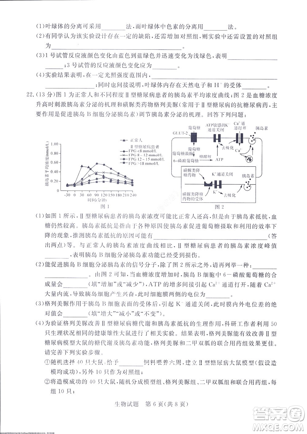 2023屆河南省高三新未來8月聯(lián)考生物試題及答案