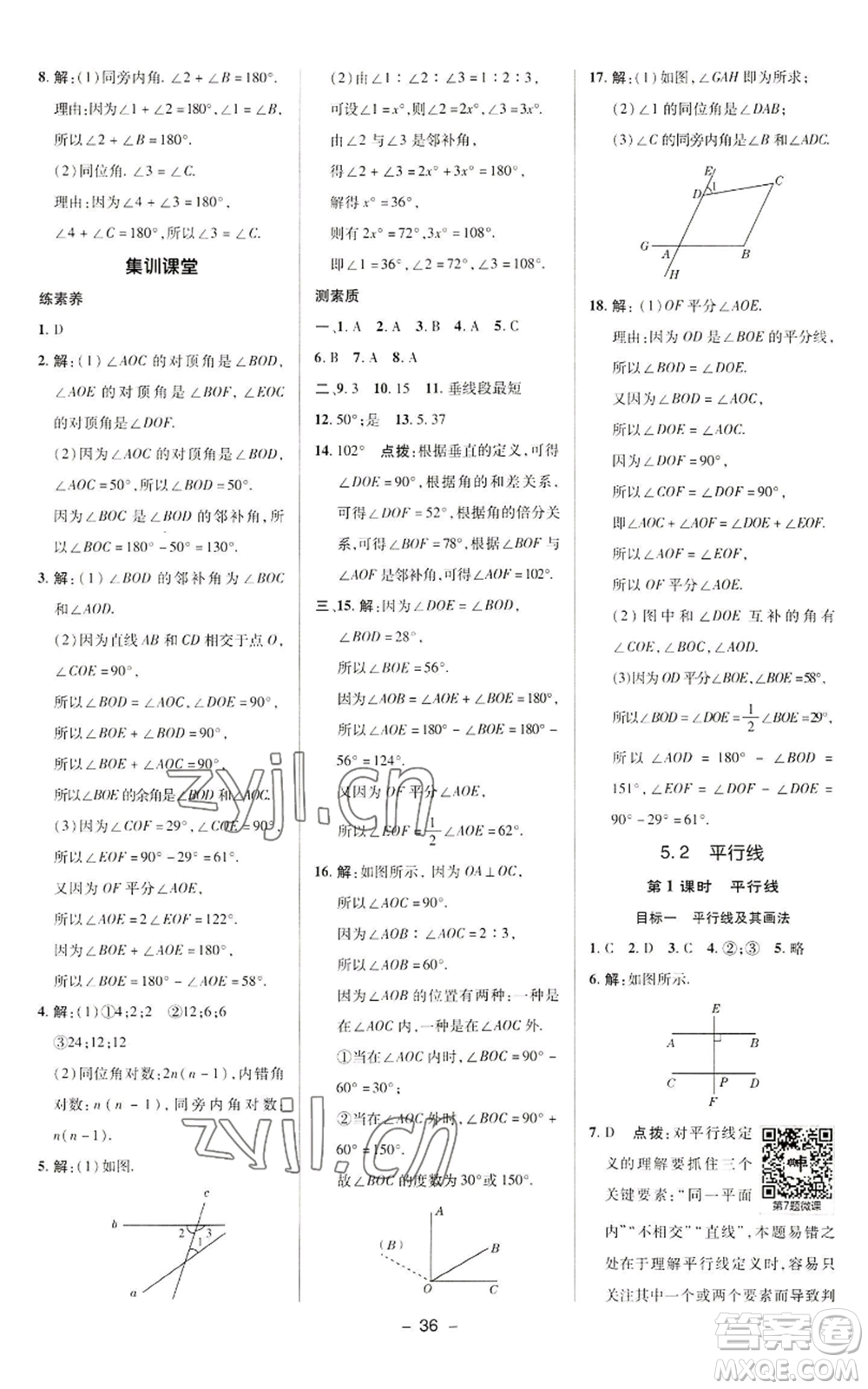 陜西人民教育出版社2022秋季綜合應(yīng)用創(chuàng)新題典中點提分練習(xí)冊七年級上冊數(shù)學(xué)華師大版參考答案