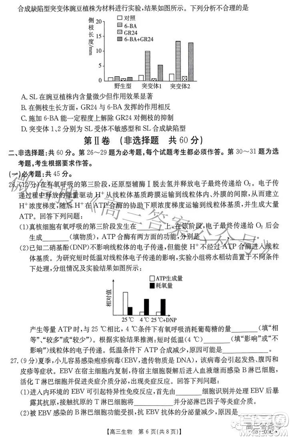 2022-2023年度河南省高三年級入學(xué)摸底考試一生物試題及答案