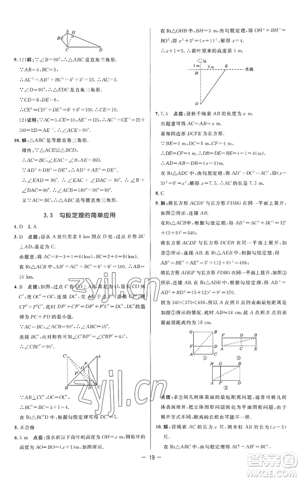 陜西人民教育出版社2022秋季綜合應(yīng)用創(chuàng)新題典中點提分練習(xí)冊八年級上冊數(shù)學(xué)蘇科版參考答案