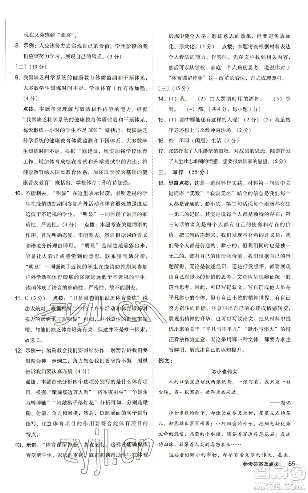 吉林教育出版社2022秋季綜合應(yīng)用創(chuàng)新題典中點提分練習(xí)冊九年級語文人教版安徽專版參考答案