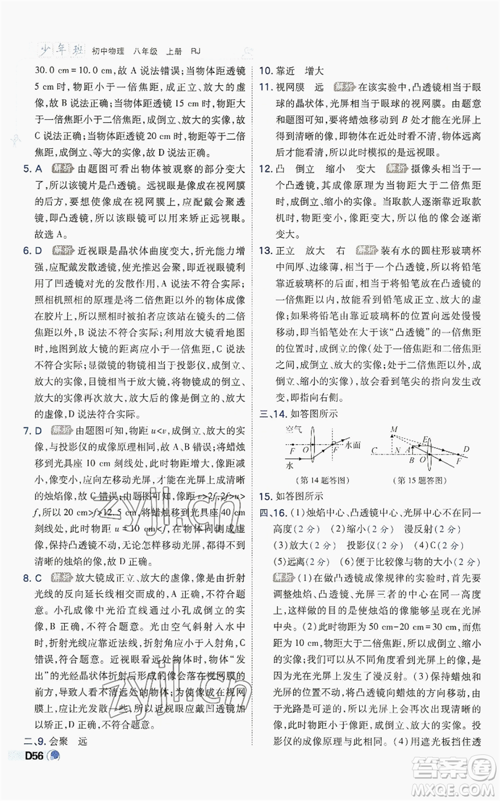 開明出版社2022秋季少年班八年級上冊物理人教版參考答案