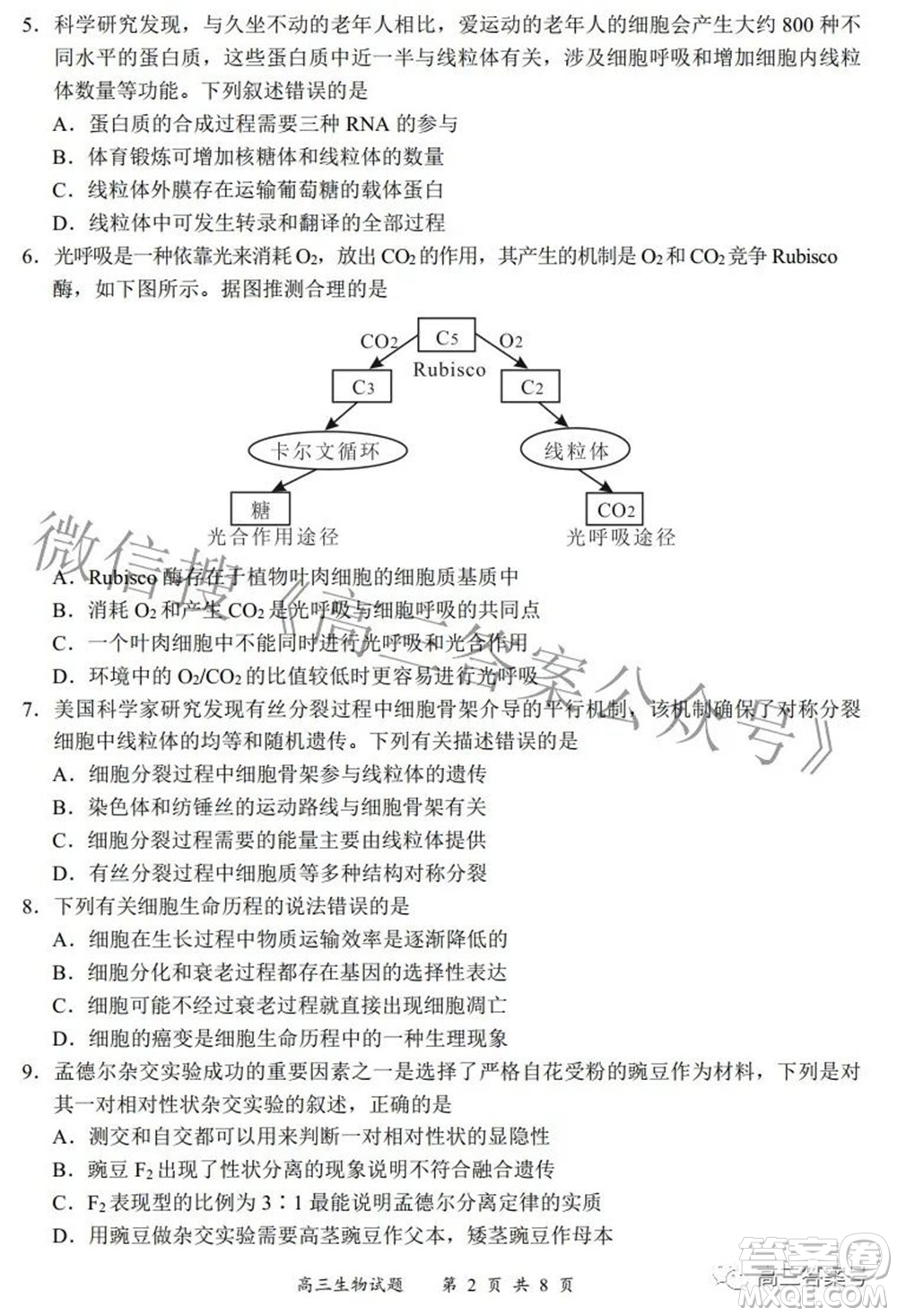 2022-2023學(xué)年度名校面對(duì)面高三大聯(lián)考生物試題及答案