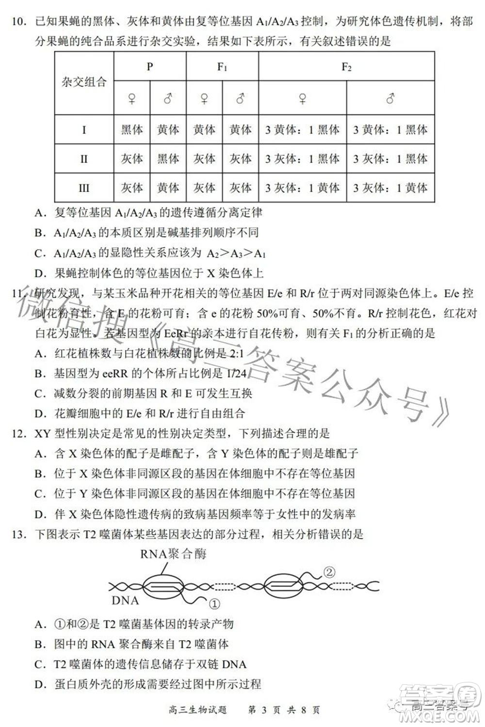 2022-2023學(xué)年度名校面對(duì)面高三大聯(lián)考生物試題及答案