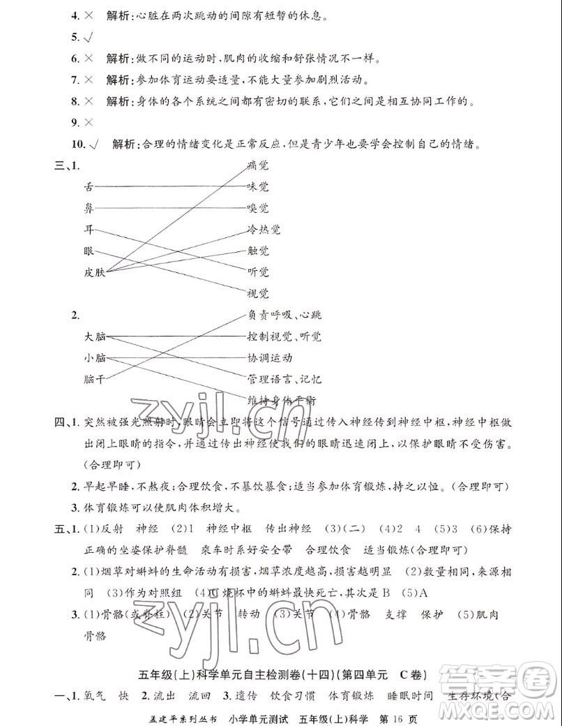 浙江工商大學(xué)出版社2022孟建平小學(xué)單元測試科學(xué)五年級(jí)上教科版答案