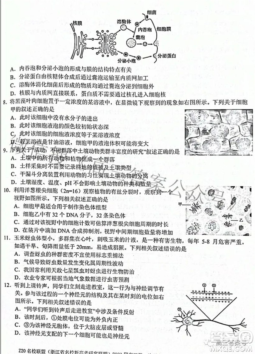 Z20名校聯(lián)盟浙江省名校新高考研究聯(lián)盟2023屆高三第一次聯(lián)考生物試題卷及答案