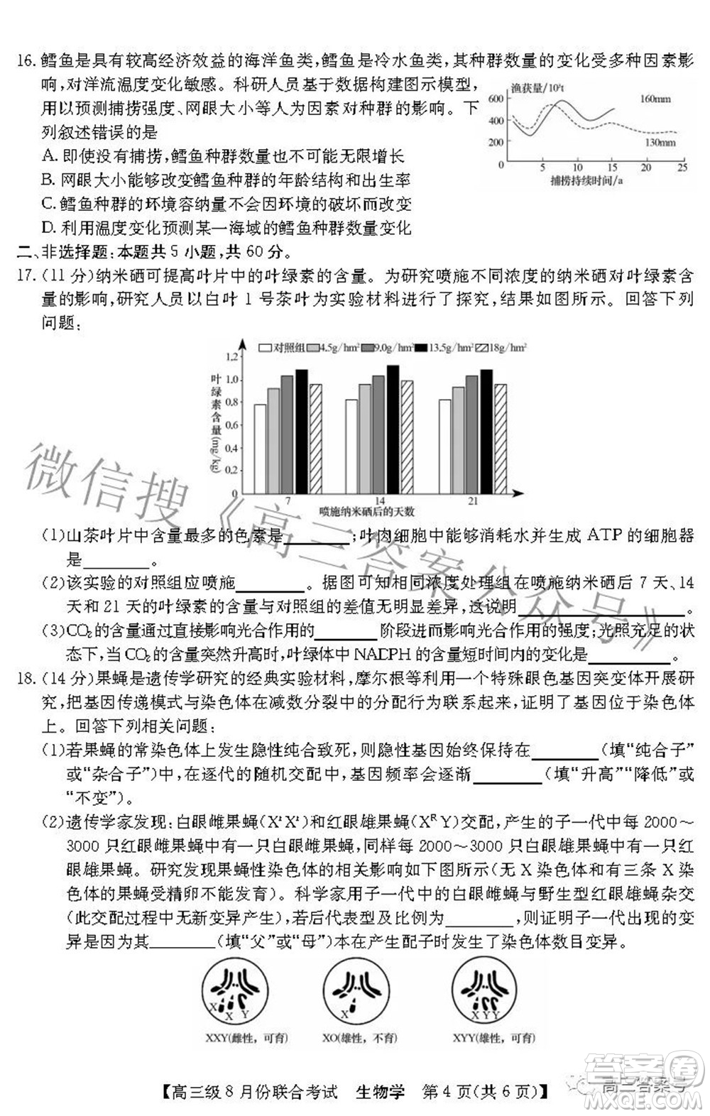 清中河中北中惠中2023屆高三級8月份聯(lián)合考試生物學(xué)試題及答案