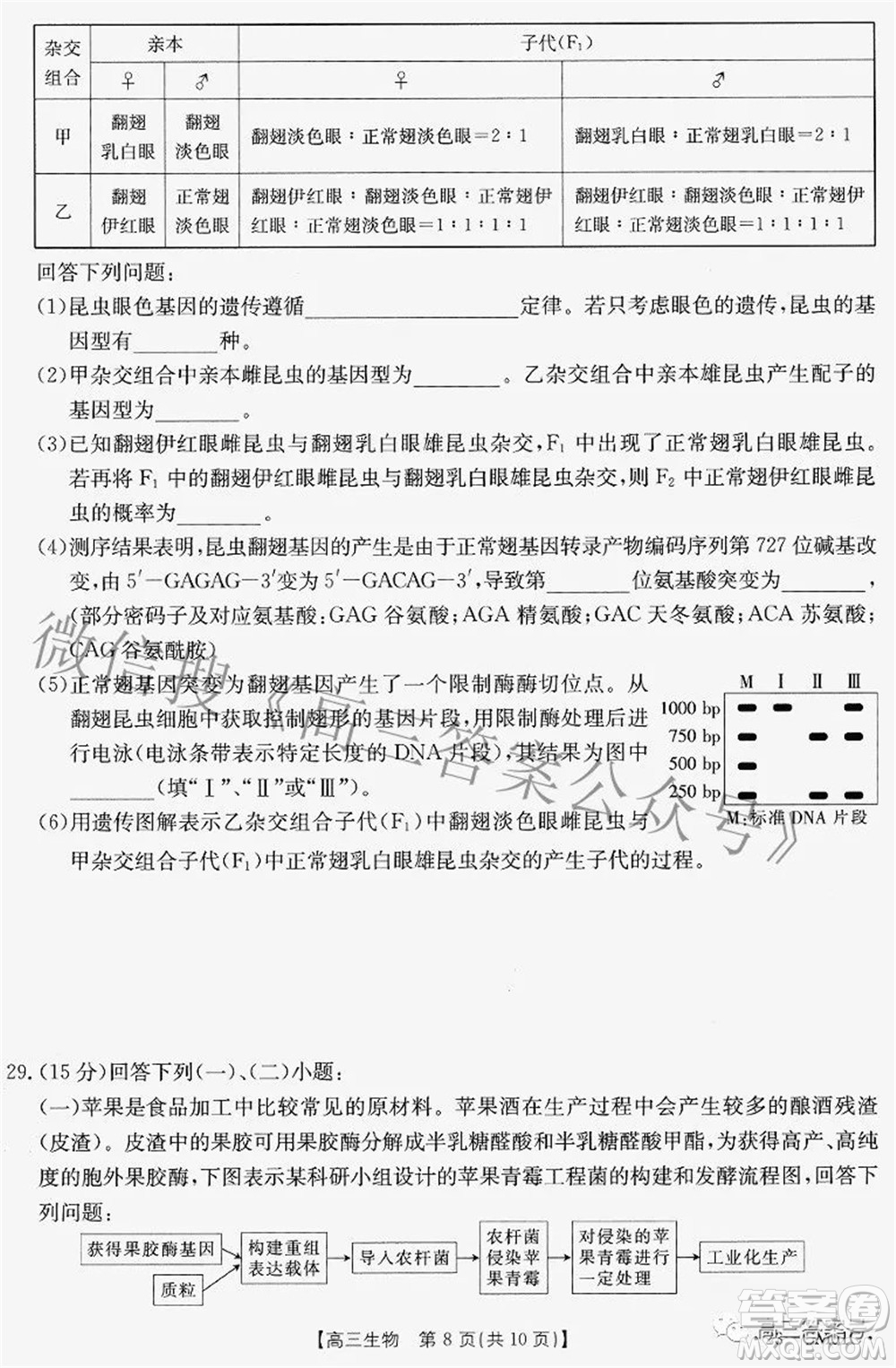 2022-2023學(xué)年高三浙里卷天下8月開(kāi)學(xué)測(cè)試生物試題及答案