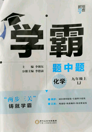 寧夏人民教育出版社2022經(jīng)綸學典學霸題中題九年級上冊化學魯教版參考答案