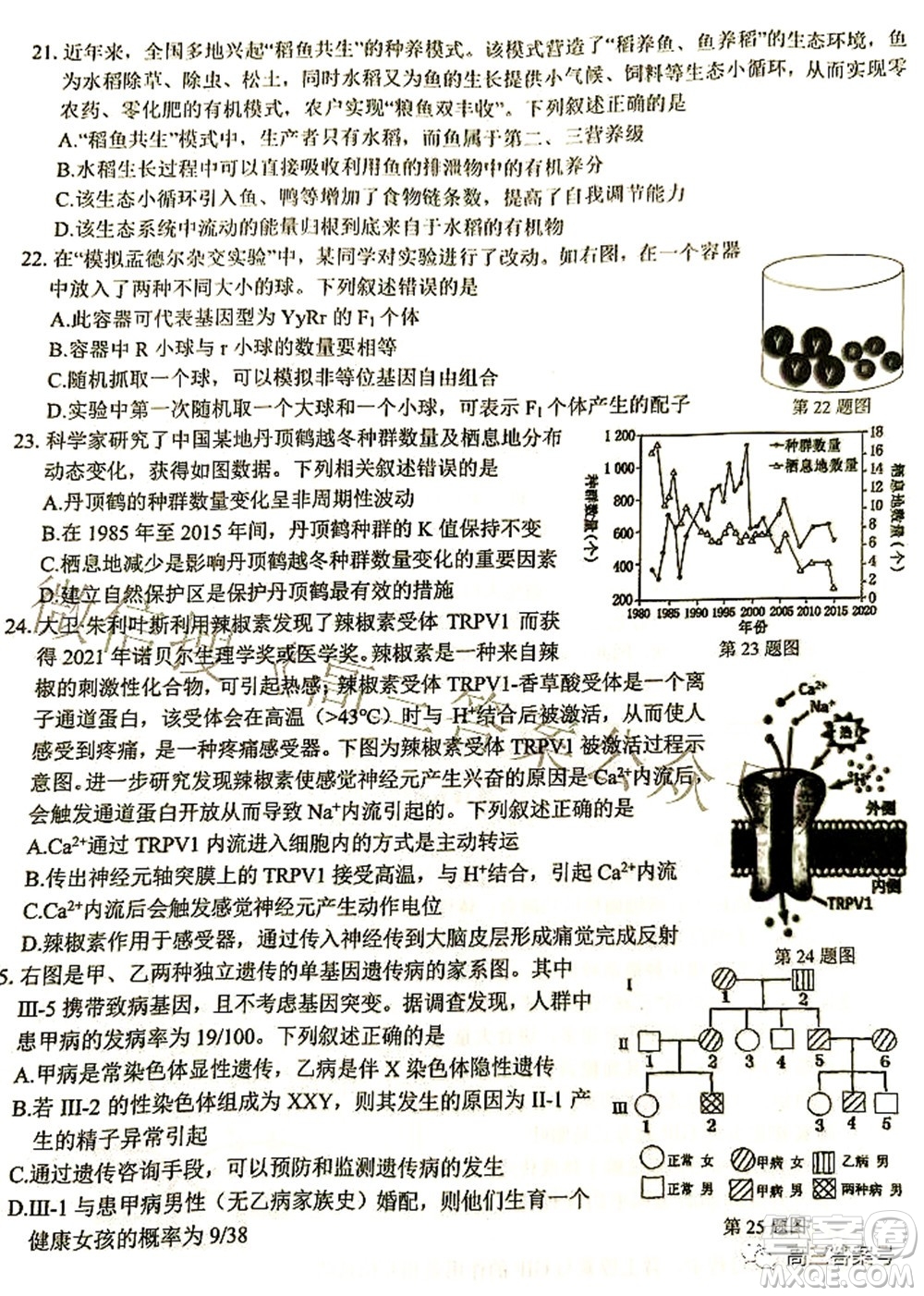 2022學(xué)年第一學(xué)期浙江省七彩陽光新高考研究聯(lián)盟返校聯(lián)考高三生物試題及答案