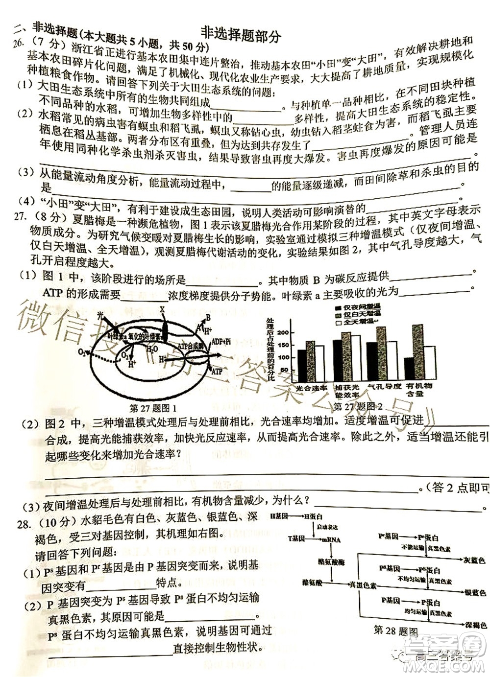 2022學(xué)年第一學(xué)期浙江省七彩陽光新高考研究聯(lián)盟返校聯(lián)考高三生物試題及答案