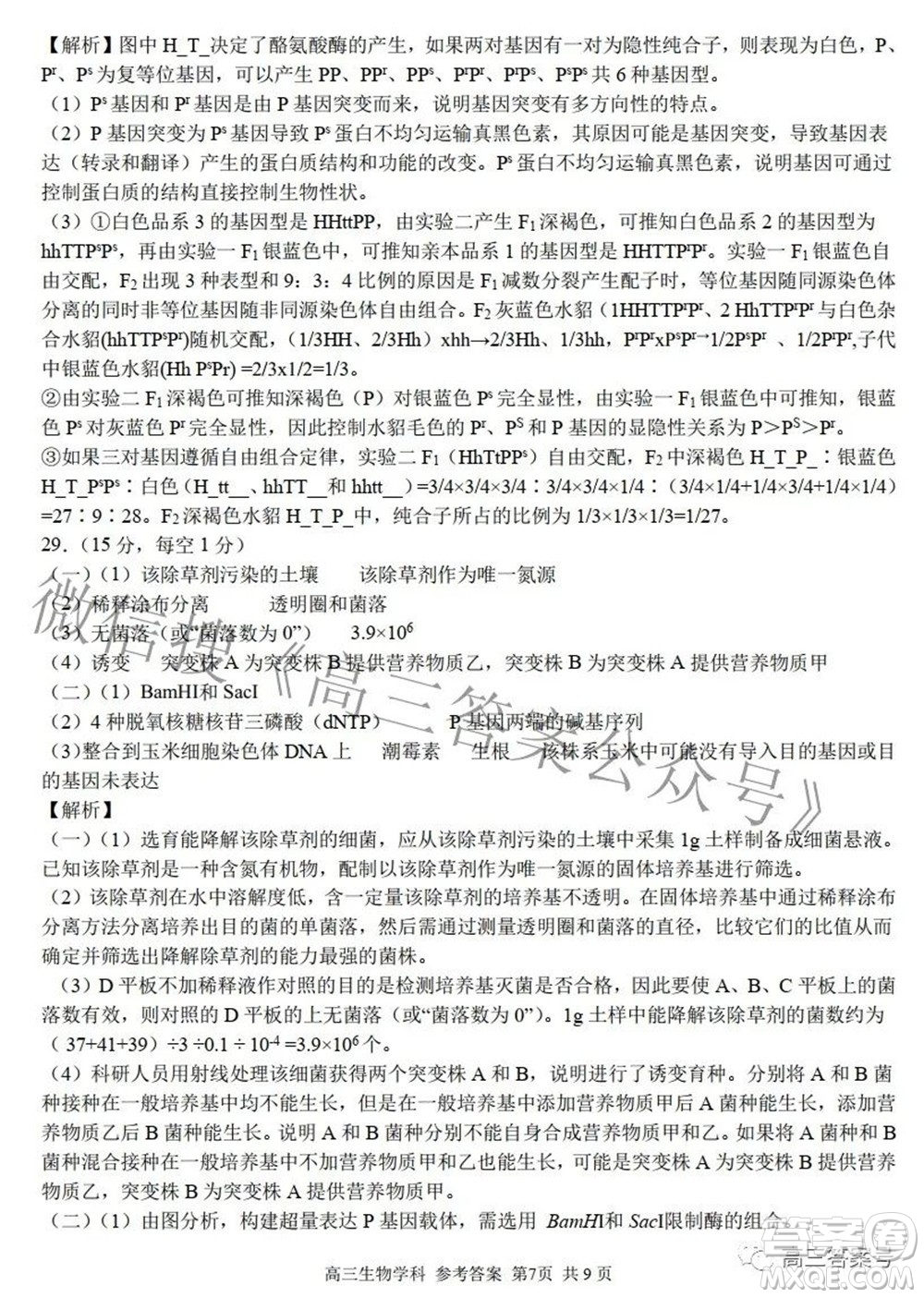 2022學(xué)年第一學(xué)期浙江省七彩陽光新高考研究聯(lián)盟返校聯(lián)考高三生物試題及答案