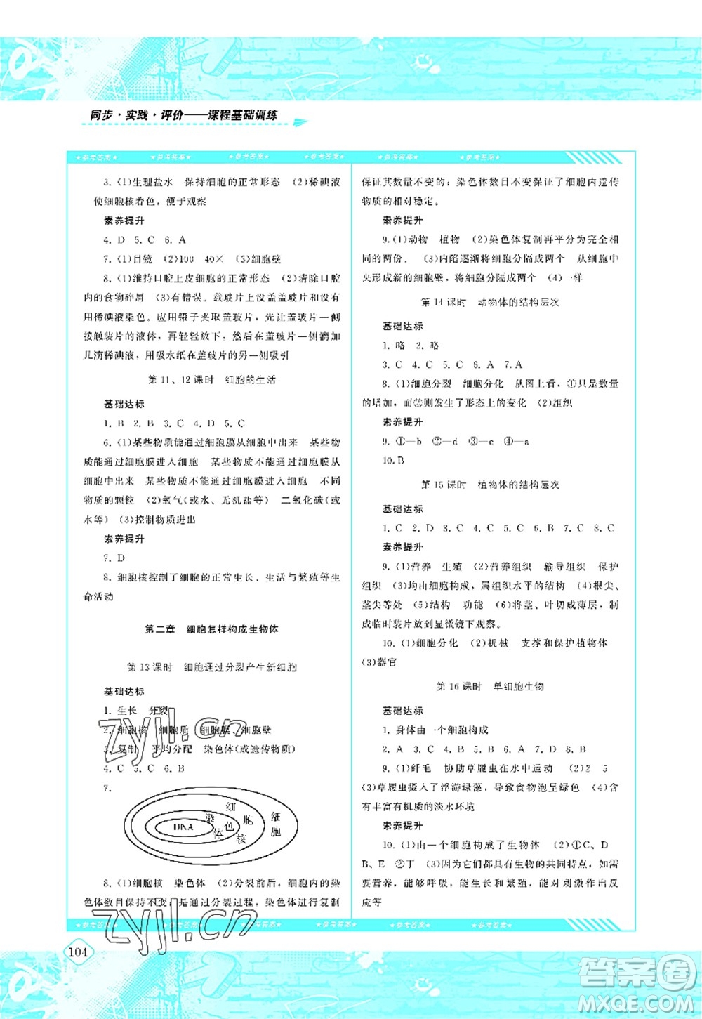 湖南少年兒童出版社2022課程基礎(chǔ)訓(xùn)練七年級生物上冊人教版答案