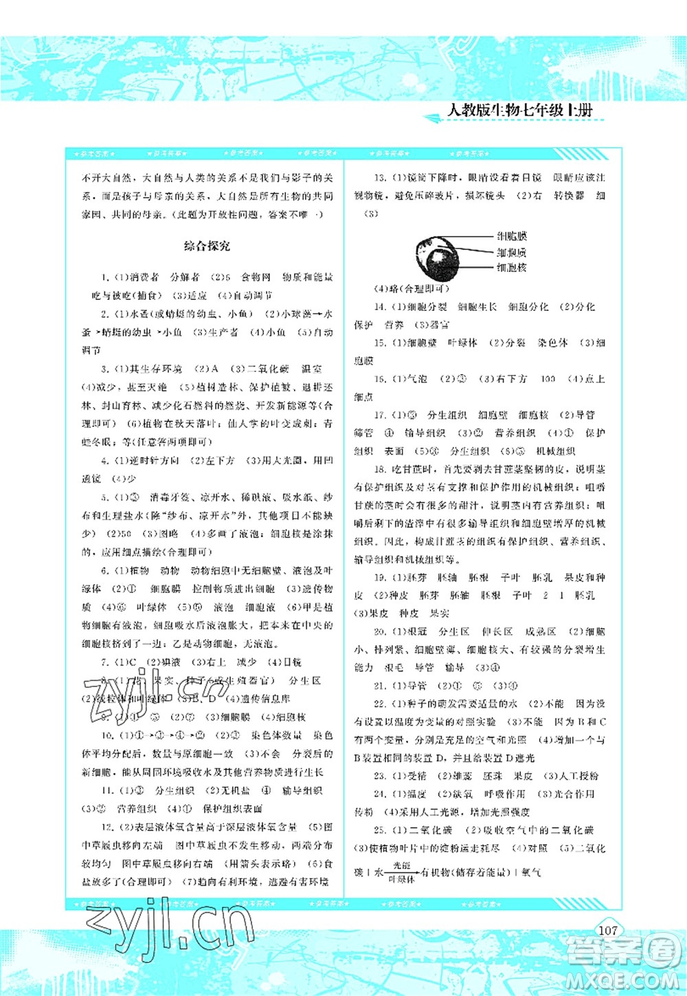 湖南少年兒童出版社2022課程基礎(chǔ)訓(xùn)練七年級生物上冊人教版答案