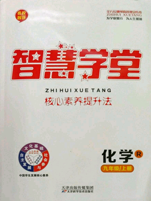 天津科學(xué)技術(shù)出版社2022智慧學(xué)堂核心素養(yǎng)提升法九年級上冊化學(xué)人教版參考答案