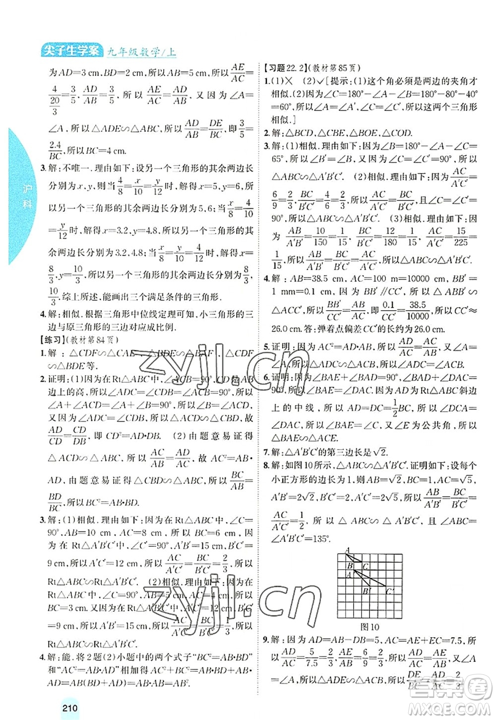 吉林人民出版社2022尖子生學(xué)案九年級(jí)數(shù)學(xué)上冊(cè)滬科版答案