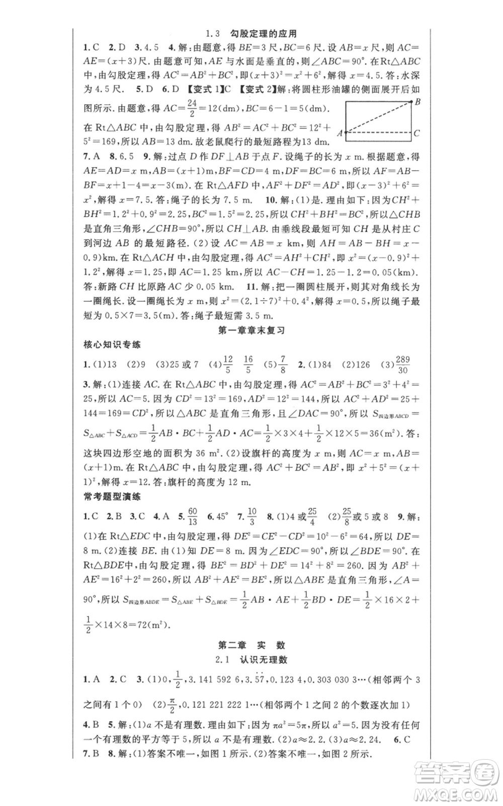 新疆科學技術(shù)出版社2022秋季課時奪冠八年級上冊數(shù)學北師大版參考答案