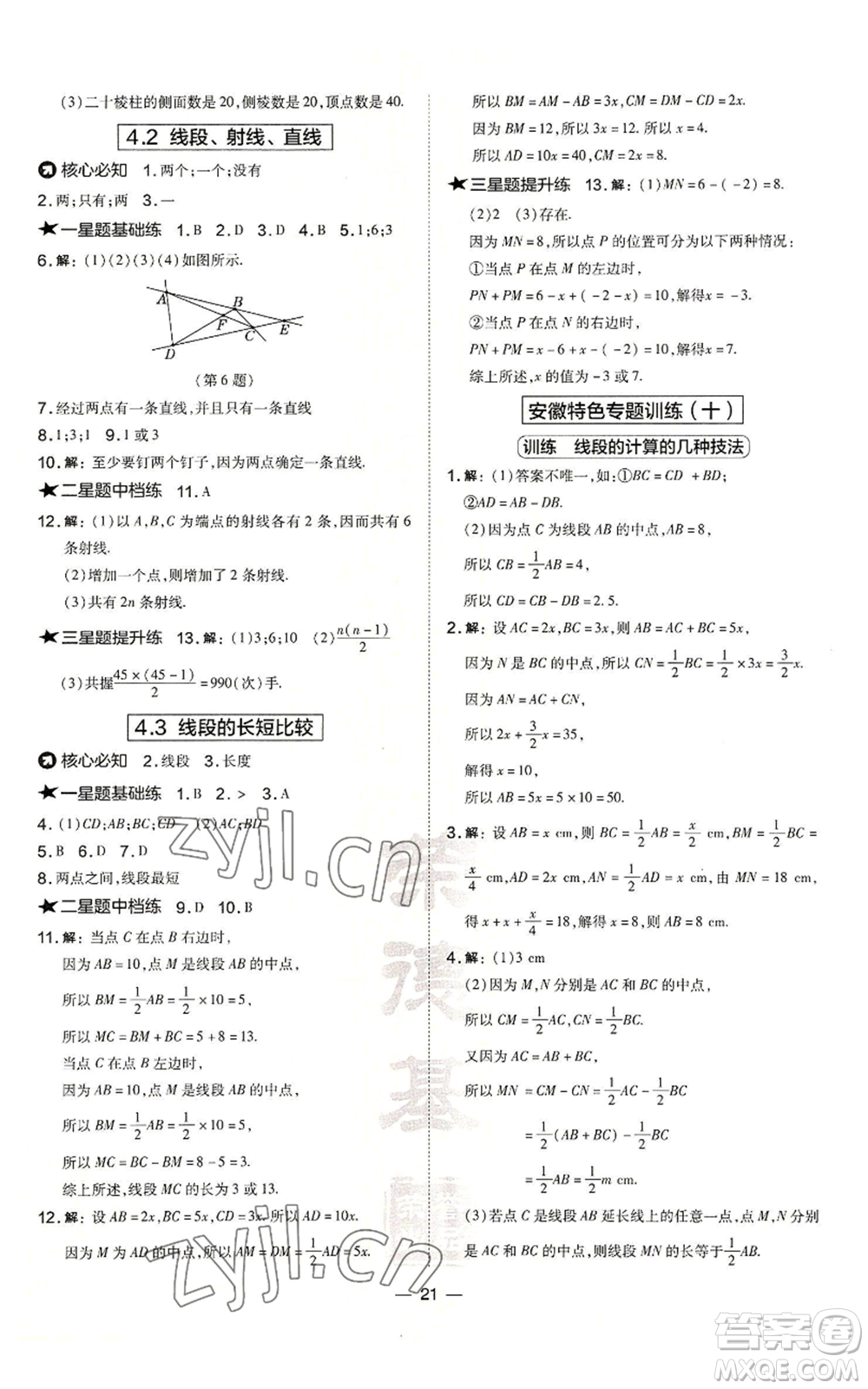 山西教育出版社2022秋季點(diǎn)撥訓(xùn)練七年級(jí)上冊(cè)數(shù)學(xué)滬科版安徽專(zhuān)用參考答案