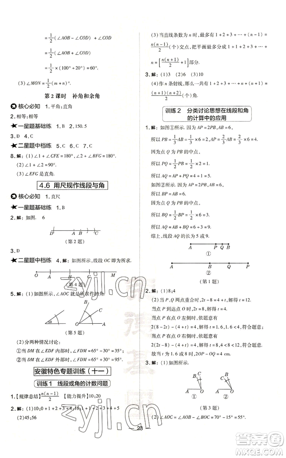 山西教育出版社2022秋季點(diǎn)撥訓(xùn)練七年級(jí)上冊(cè)數(shù)學(xué)滬科版安徽專(zhuān)用參考答案