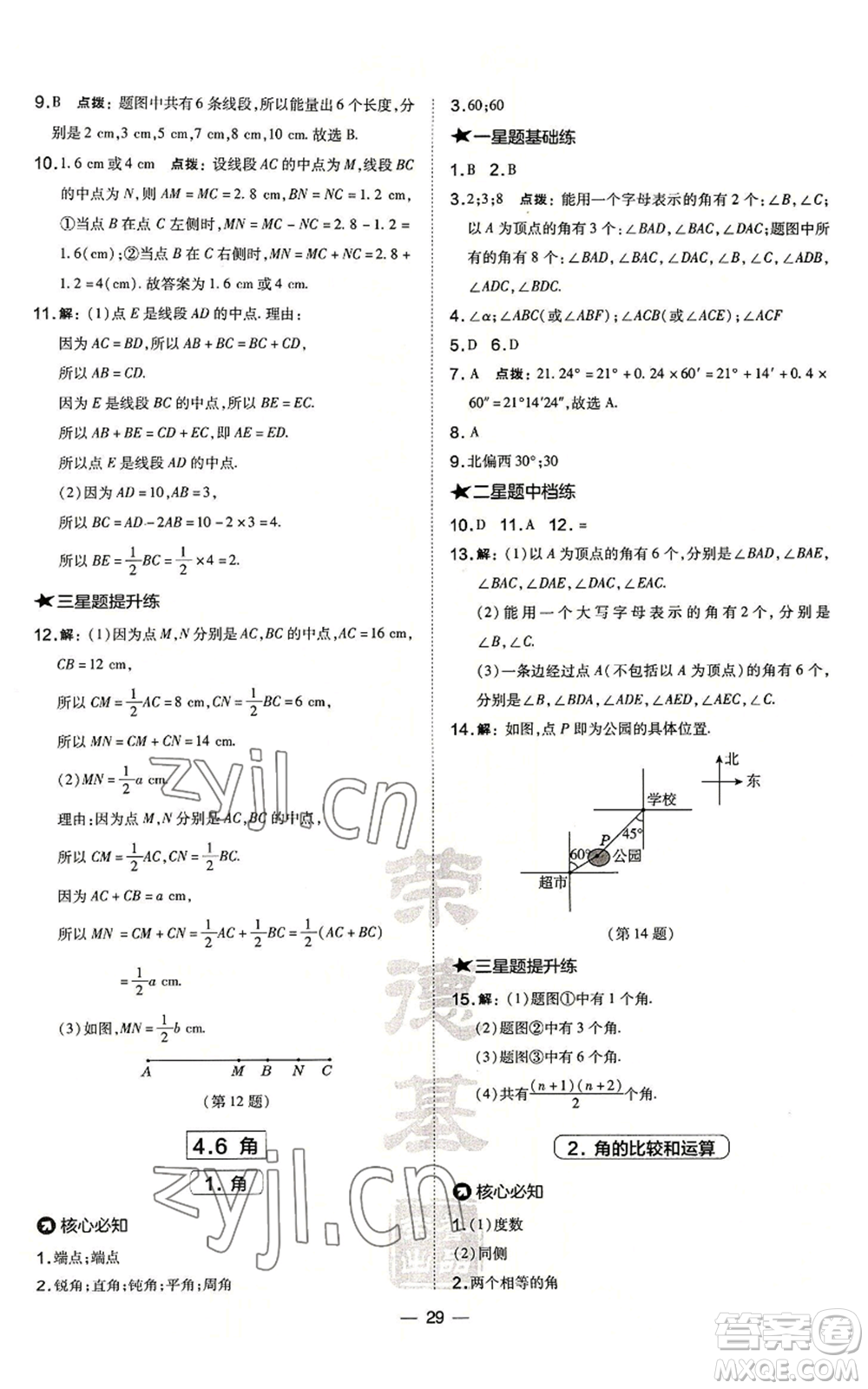 山西教育出版社2022秋季點撥訓(xùn)練七年級上冊數(shù)學(xué)華師大版參考答案