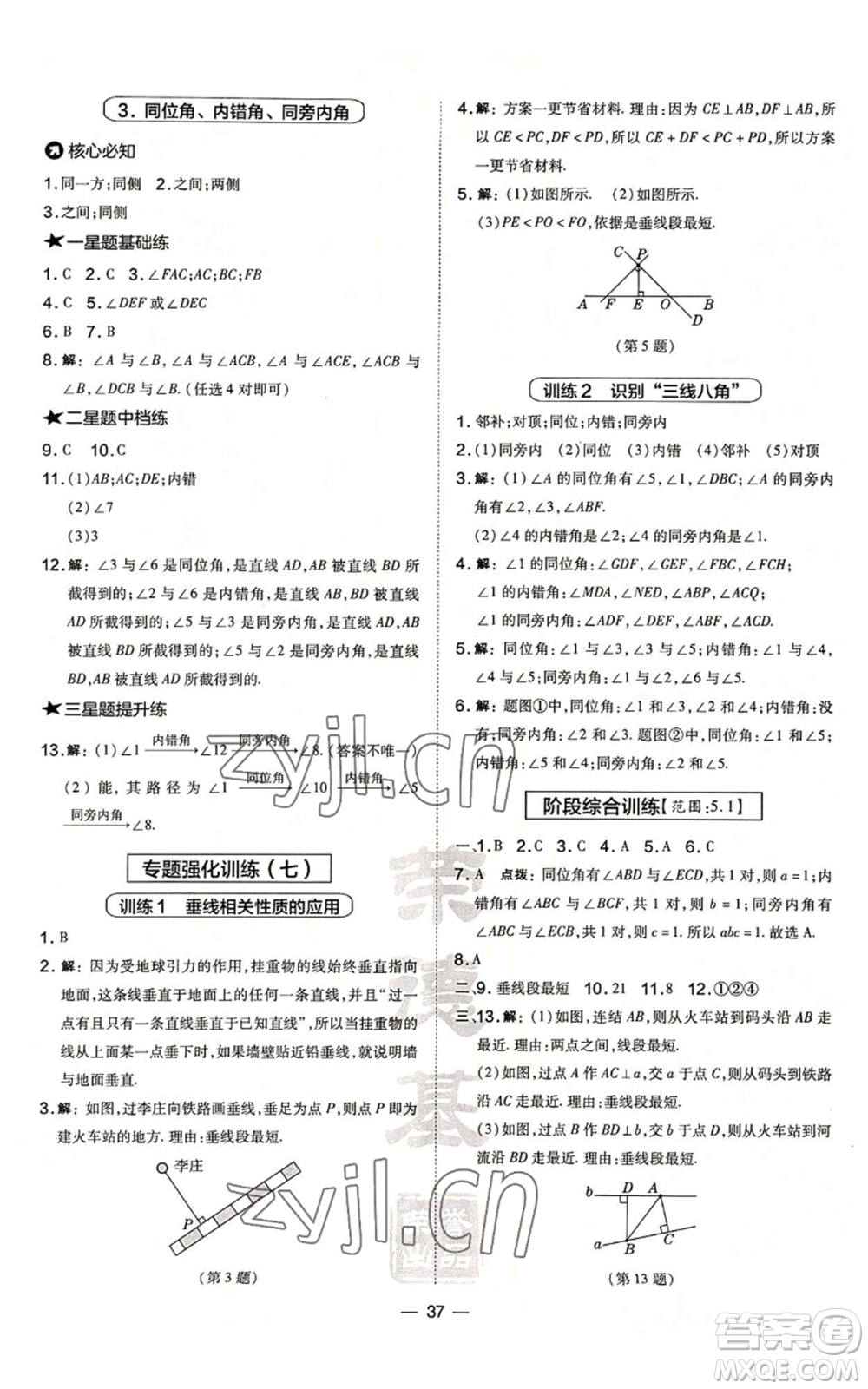 山西教育出版社2022秋季點撥訓(xùn)練七年級上冊數(shù)學(xué)華師大版參考答案