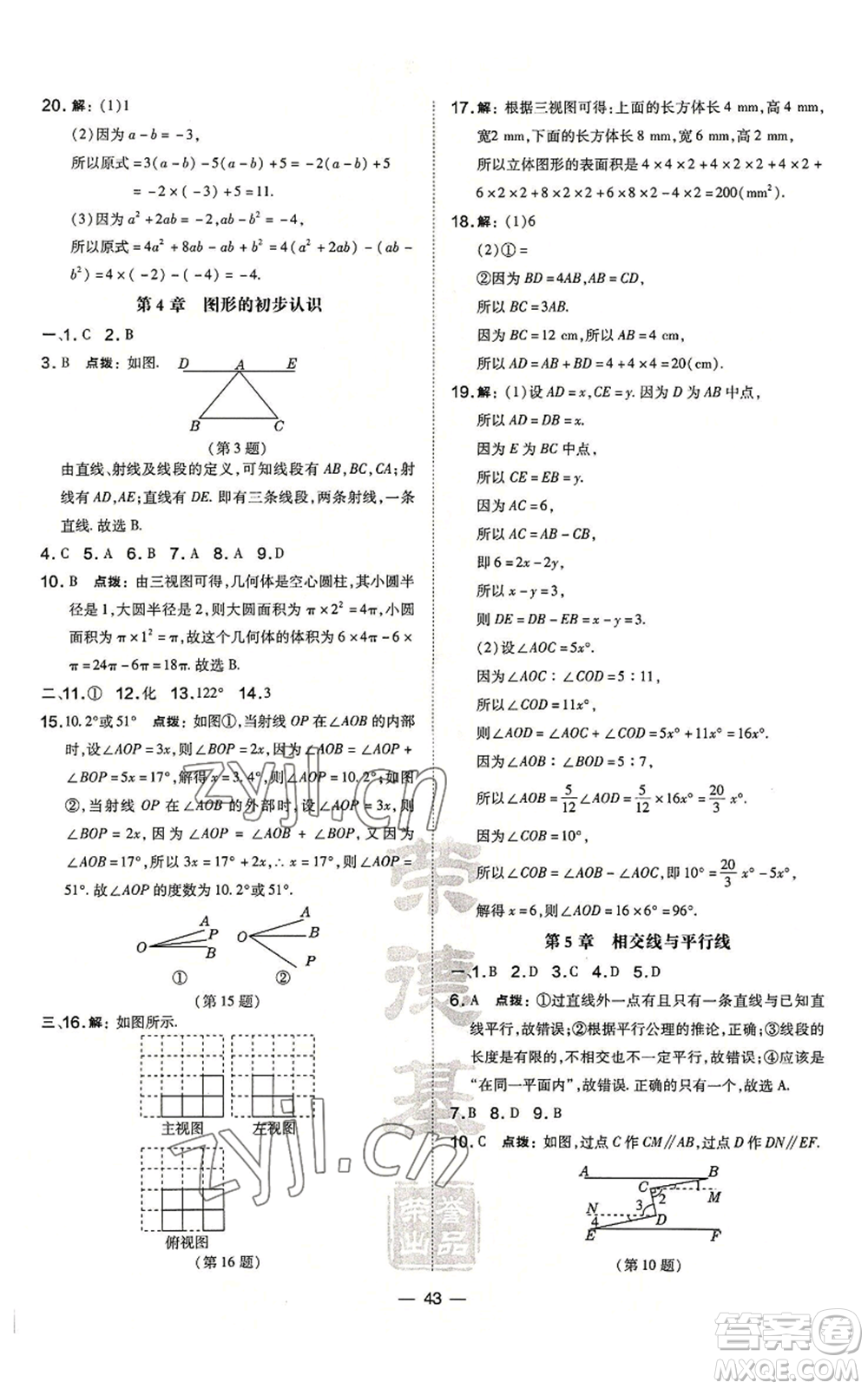 山西教育出版社2022秋季點撥訓(xùn)練七年級上冊數(shù)學(xué)華師大版參考答案